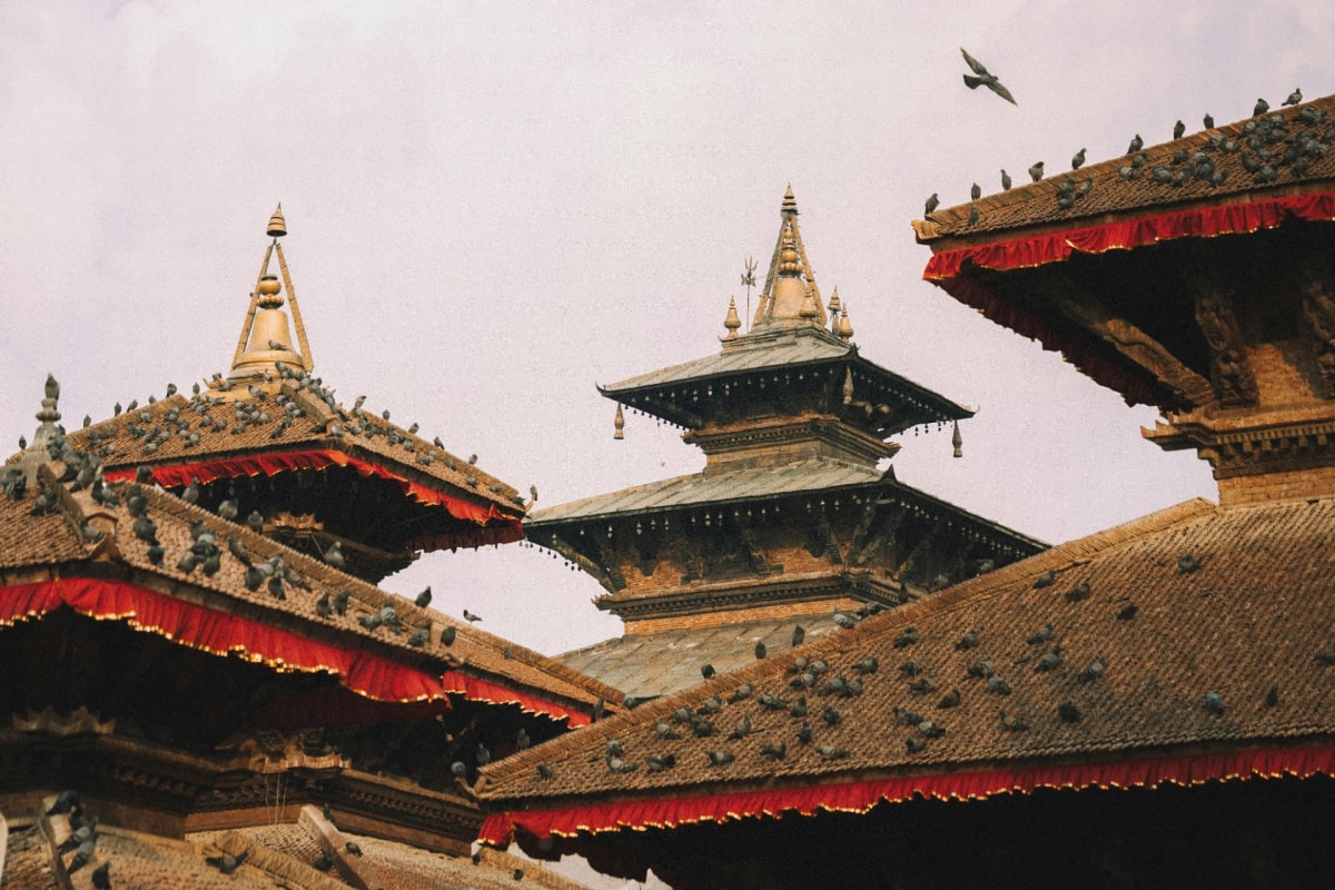 raditional pagoda temple roofs with red trim and pigeons at a historic Kathmandu heritage site.