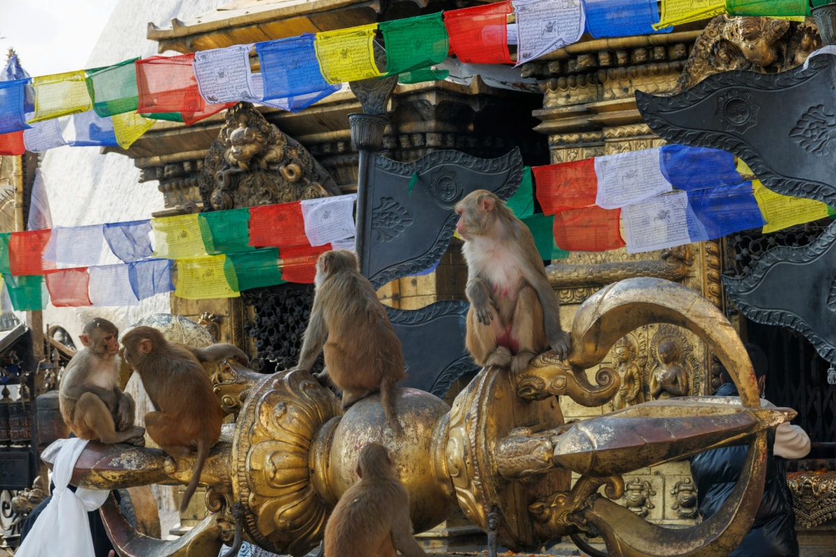 Large bronze ritual vajra in front of a Swayambhunath Stupa adorned with prayer flags and monkeys.